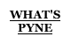 WHAT'S PYNE